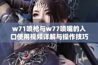 w71喷枪与w77喷嘴的入口使用视频详解与操作技巧分享