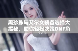 黑珍珠与艾尔文装备选择大揭秘，助你轻松决策DNF角色搭配