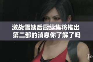 激战雪姨后厨续集将推出 第二部的消息你了解了吗