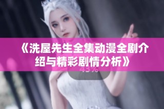 《洗屋先生全集动漫全剧介绍与精彩剧情分析》