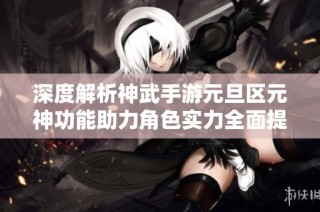 深度解析神武手游元旦区元神功能助力角色实力全面提升攻略