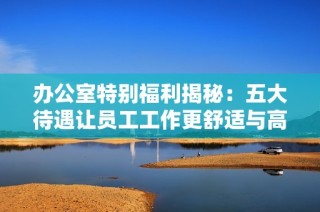 办公室特别福利揭秘：五大待遇让员工工作更舒适与高效
