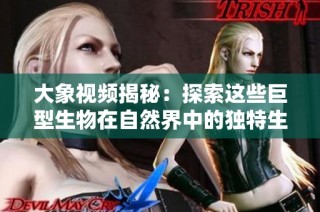 大象视频揭秘：探索这些巨型生物在自然界中的独特生活与行为