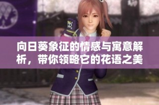 向日葵象征的情感与寓意解析，带你领略它的花语之美