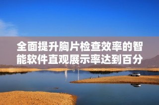 全面提升胸片检查效率的智能软件直观展示率达到百分之百