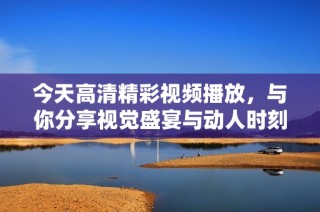今天高清精彩视频播放，与你分享视觉盛宴与动人时刻！