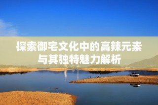 探索御宅文化中的高辣元素与其独特魅力解析