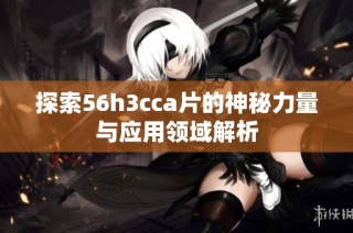 探索56h3cca片的神秘力量与应用领域解析