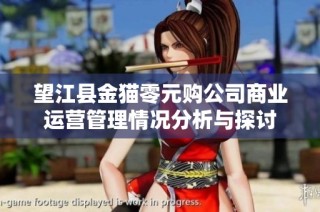 望江县金猫零元购公司商业运营管理情况分析与探讨