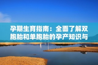 孕期生育指南：全面了解双胞胎和单胞胎的孕产知识与注意事项