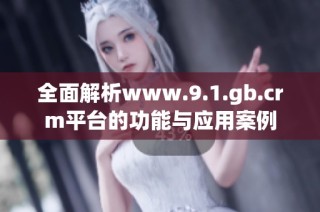全面解析www.9.1.gb.crm平台的功能与应用案例