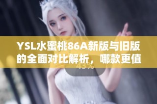 YSL水蜜桃86A新版与旧版的全面对比解析，哪款更值得购买