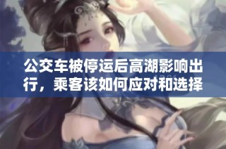 公交车被停运后高湖影响出行，乘客该如何应对和选择替代方案