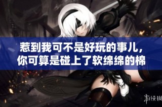 惹到我可不是好玩的事儿，你可算是碰上了软绵绵的棉花球
