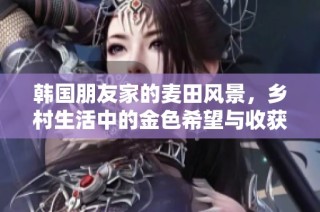 韩国朋友家的麦田风景，乡村生活中的金色希望与收获