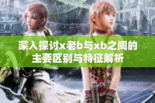 深入探讨x老b与xb之间的主要区别与特征解析
