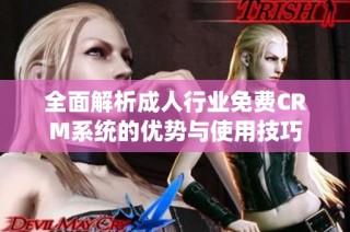 全面解析成人行业免费CRM系统的优势与使用技巧