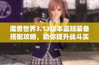 魔兽世界3.13版本盗贼装备搭配攻略，助你提升战斗实力！
