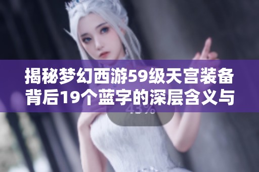 揭秘梦幻西游59级天宫装备背后19个蓝字的深层含义与策略解析