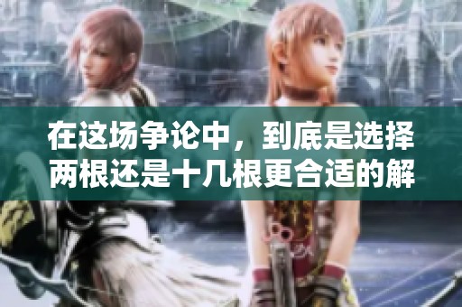 在这场争论中，到底是选择两根还是十几根更合适的解决方案