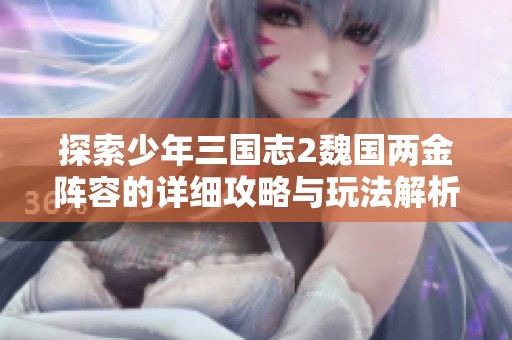 探索少年三国志2魏国两金阵容的详细攻略与玩法解析
