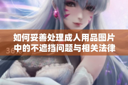 如何妥善处理成人用品图片中的不遮挡问题与相关法律风险分析