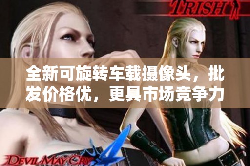 全新可旋转车载摄像头，批发价格优，更具市场竞争力的选择