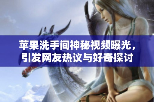 苹果洗手间神秘视频曝光，引发网友热议与好奇探讨