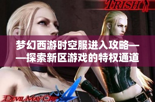 梦幻西游时空服进入攻略——探索新区游戏的特权通道全面解析