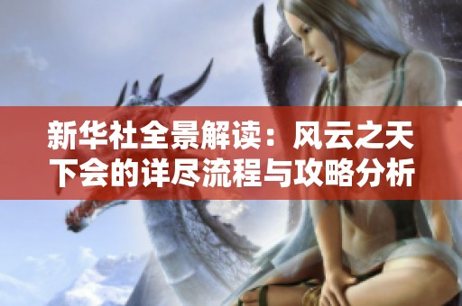 新华社全景解读：风云之天下会的详尽流程与攻略分析
