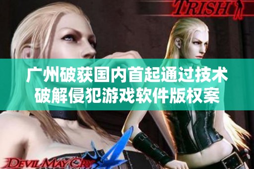 广州破获国内首起通过技术破解侵犯游戏软件版权案