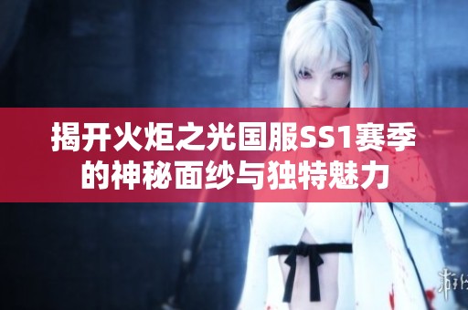 揭开火炬之光国服SS1赛季的神秘面纱与独特魅力