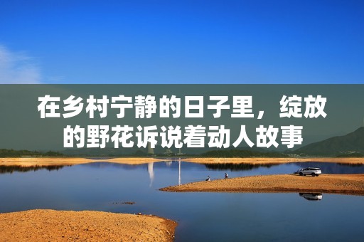 在乡村宁静的日子里，绽放的野花诉说着动人故事