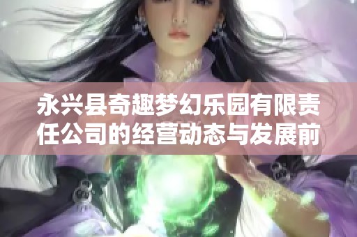 永兴县奇趣梦幻乐园有限责任公司的经营动态与发展前景分析