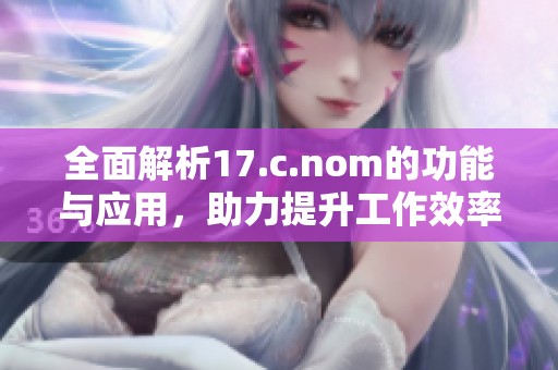 全面解析17.c.nom的功能与应用，助力提升工作效率与项目管理能力