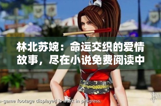 林北苏婉：命运交织的爱情故事，尽在小说免费阅读中尽享精彩情节