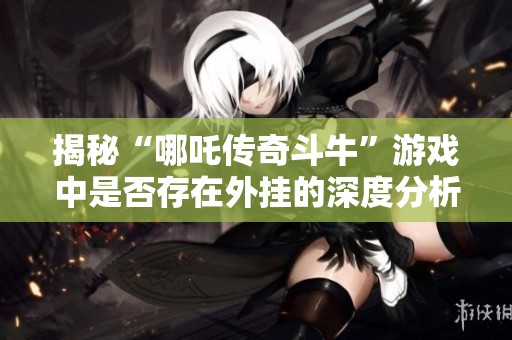 揭秘“哪吒传奇斗牛”游戏中是否存在外挂的深度分析和攻略