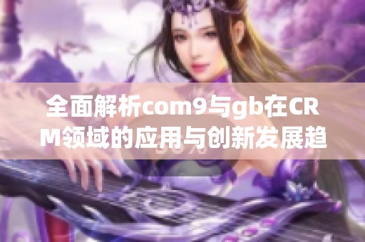 全面解析com9与gb在CRM领域的应用与创新发展趋势