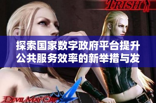 探索国家数字政府平台提升公共服务效率的新举措与发展方向