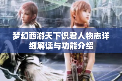 梦幻西游天下识君人物志详细解读与功能介绍