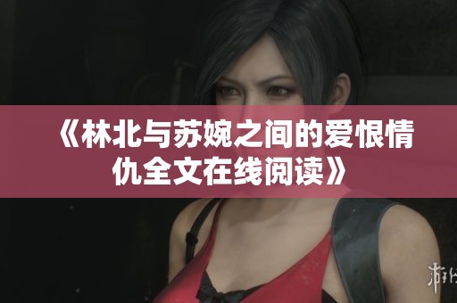 《林北与苏婉之间的爱恨情仇全文在线阅读》