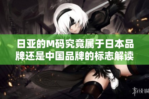 日亚的M码究竟属于日本品牌还是中国品牌的标志解读