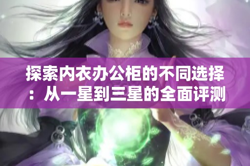 探索内衣办公柜的不同选择：从一星到三星的全面评测与推荐