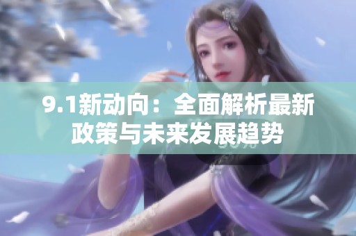 9.1新动向：全面解析最新政策与未来发展趋势