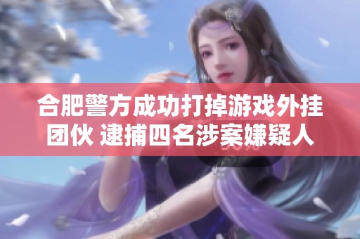合肥警方成功打掉游戏外挂团伙 逮捕四名涉案嫌疑人