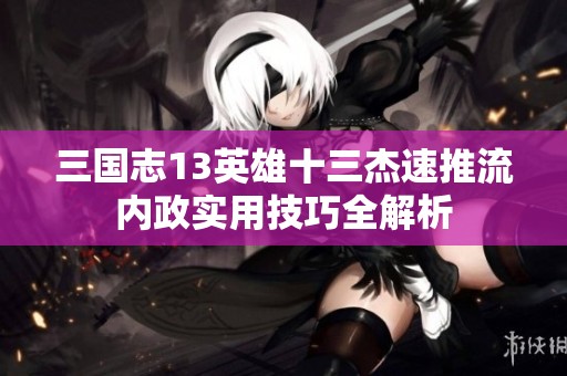 三国志13英雄十三杰速推流内政实用技巧全解析