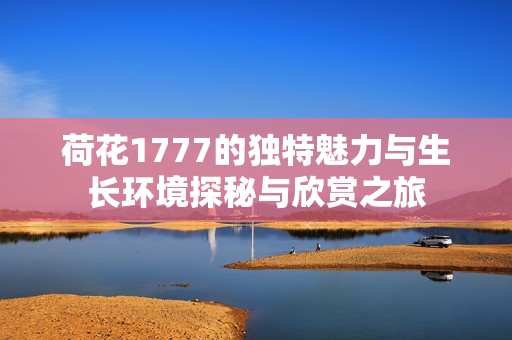 荷花1777的独特魅力与生长环境探秘与欣赏之旅