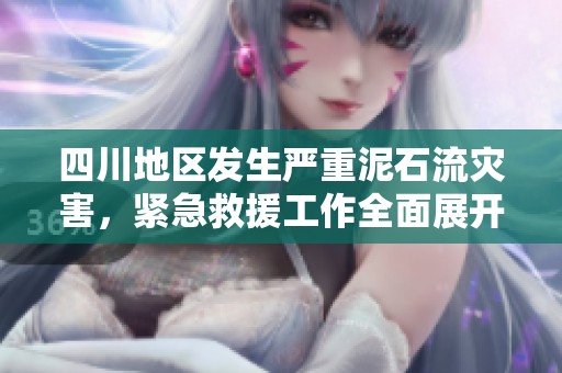 四川地区发生严重泥石流灾害，紧急救援工作全面展开