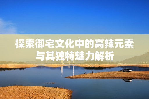 探索御宅文化中的高辣元素与其独特魅力解析
