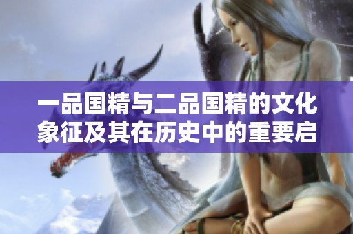 一品国精与二品国精的文化象征及其在历史中的重要启示解析